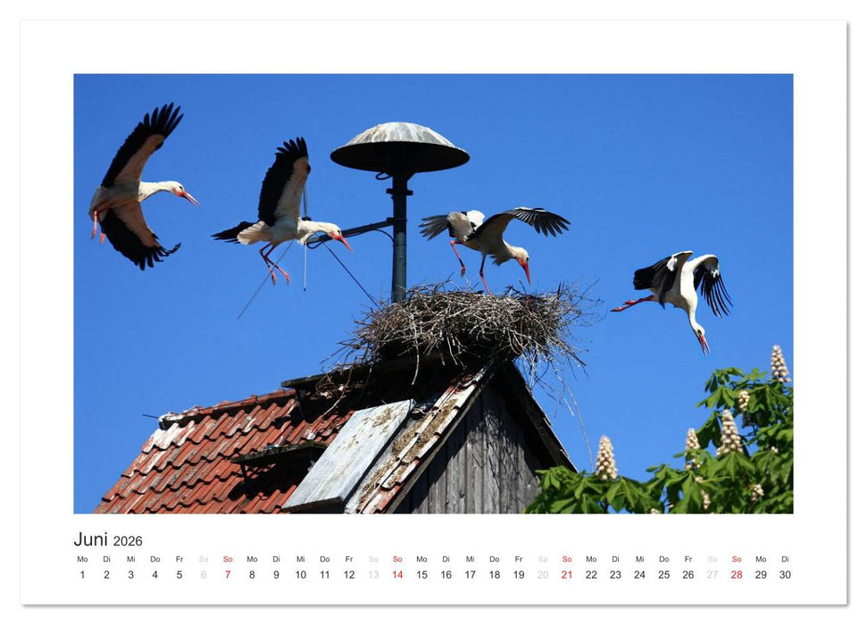 Das Weserbergland (CALVENDO Wandkalender 2026)