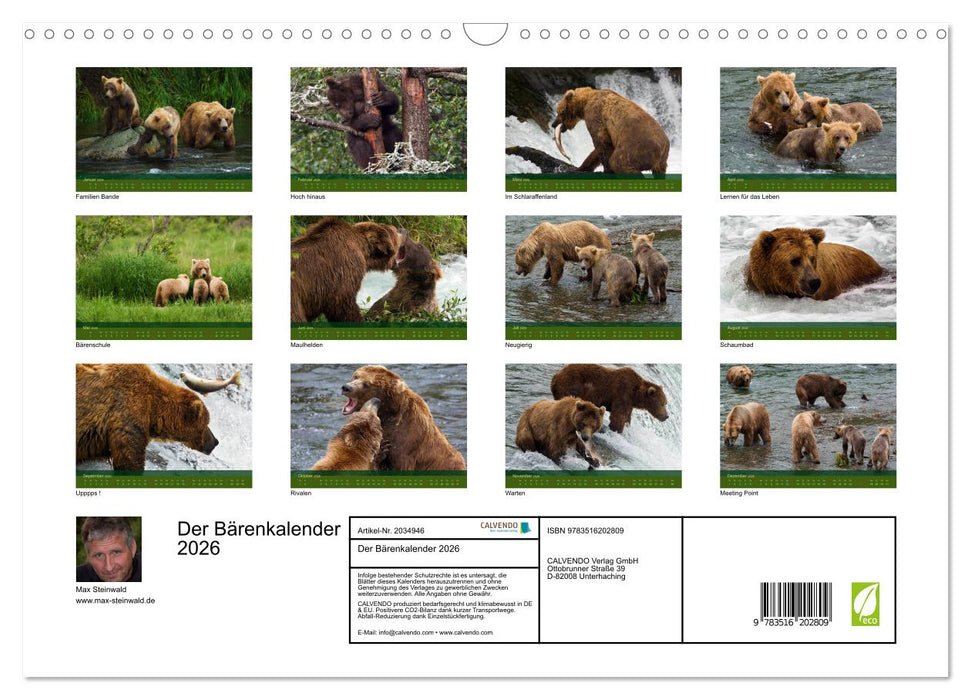 Der Bärenkalender 2026 (CALVENDO Wandkalender 2026)