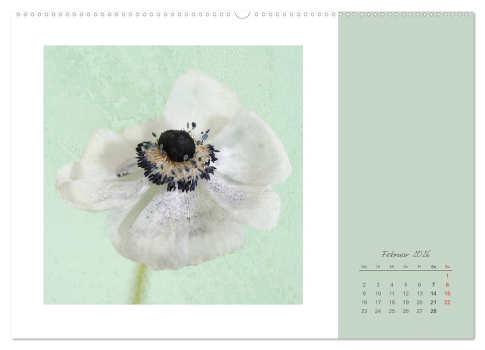 Blütenträume (CALVENDO Wandkalender 2026)
