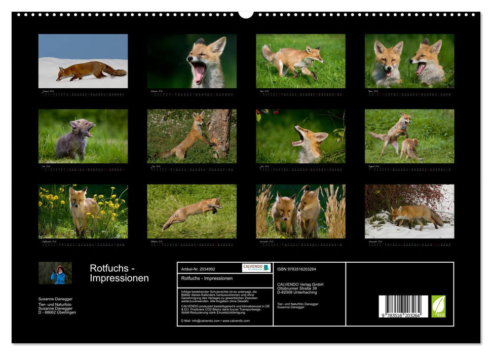 Rotfuchs - Impressionen (CALVENDO Premium Wandkalender 2026)