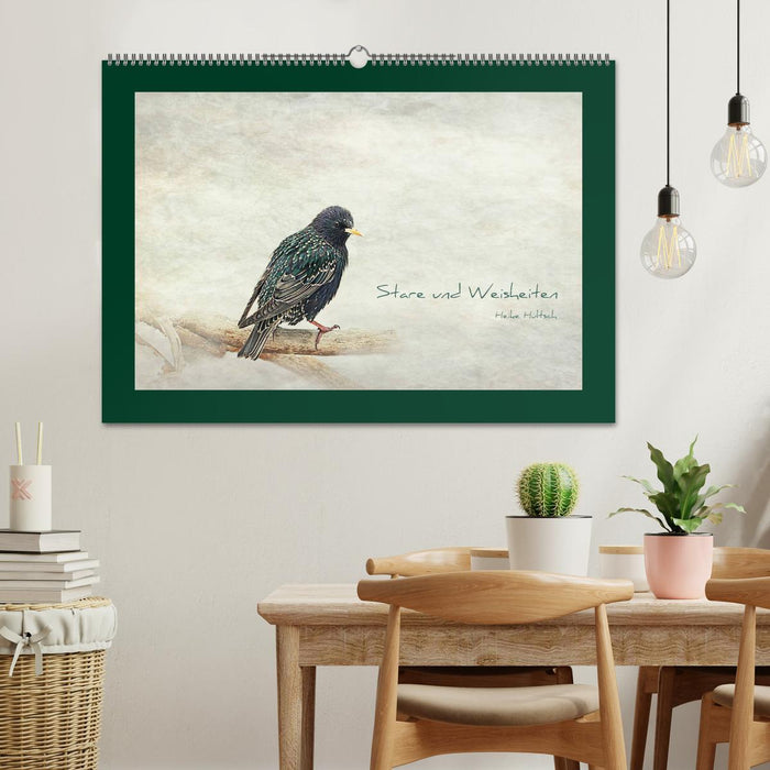 Stare und Weisheiten (CALVENDO Wandkalender 2026)