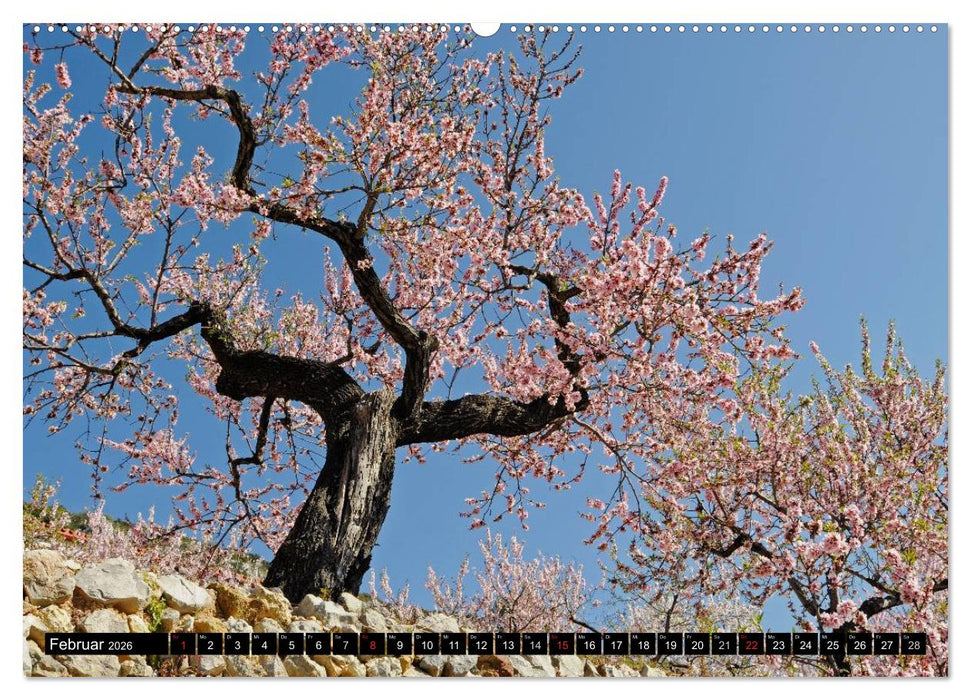 Costa Blanca - Spaniens weiße Küste (CALVENDO Premium Wandkalender 2026)