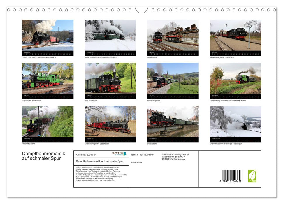 Dampfbahnromantik auf schmaler Spur (CALVENDO Wandkalender 2026)
