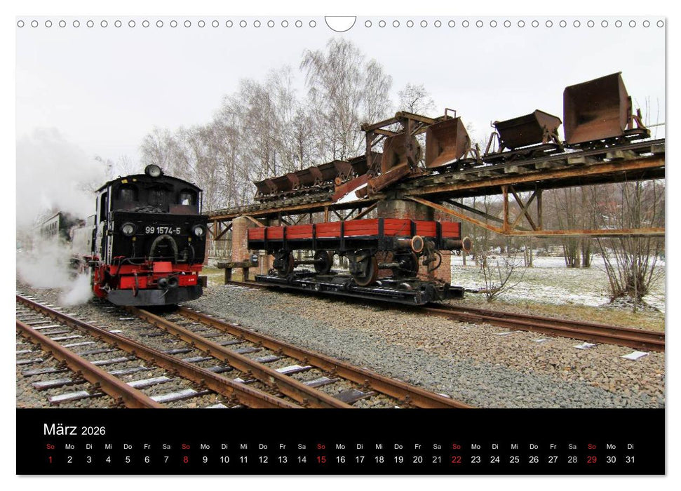 Dampfbahnromantik auf schmaler Spur (CALVENDO Wandkalender 2026)