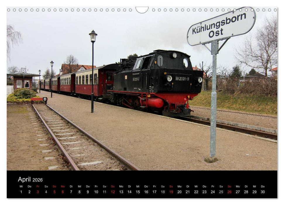 Dampfbahnromantik auf schmaler Spur (CALVENDO Wandkalender 2026)