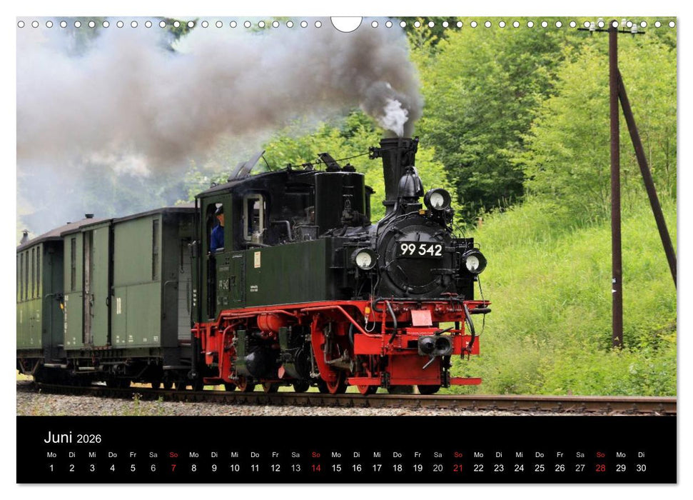 Dampfbahnromantik auf schmaler Spur (CALVENDO Wandkalender 2026)