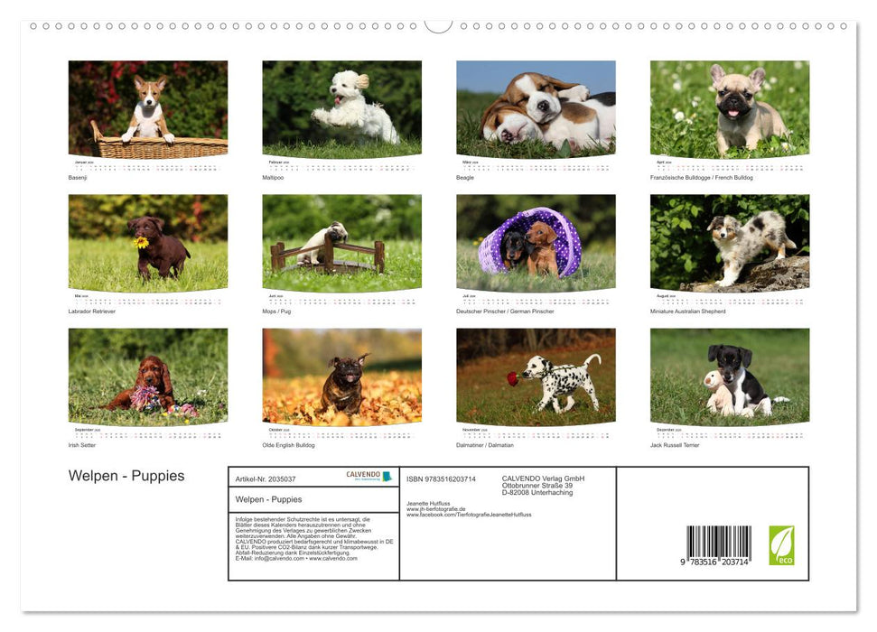 Welpen - Puppies (CALVENDO Premium Wandkalender 2026)