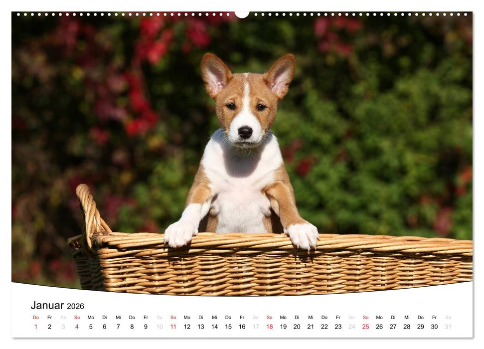Welpen - Puppies (CALVENDO Premium Wandkalender 2026)