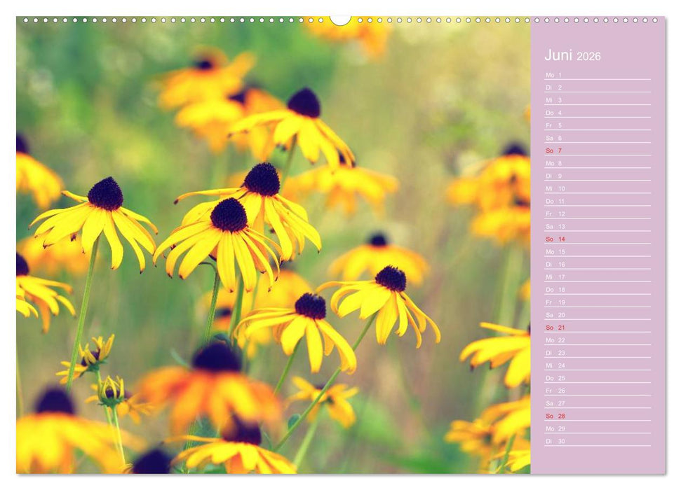 Blumenfreude Schweizer Kalendarium (CALVENDO Premium Wandkalender 2026)