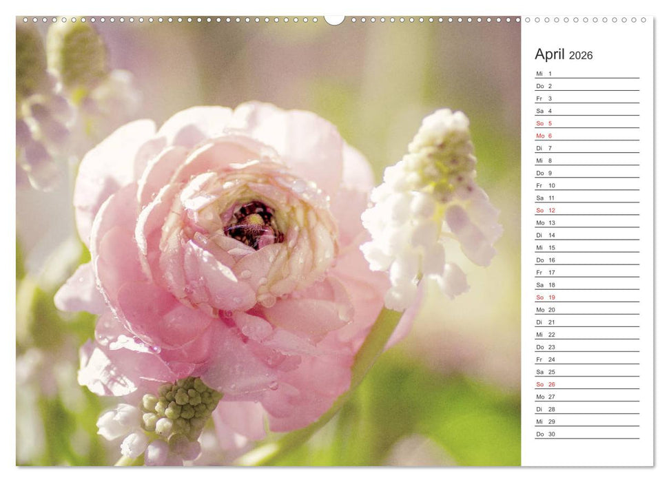 Blumenfreude Terminkalender (CALVENDO Premium Wandkalender 2026)