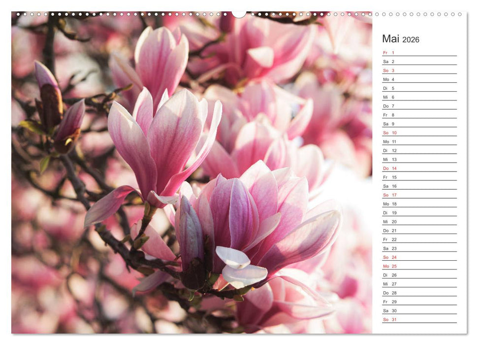 Blumenfreude Terminkalender (CALVENDO Premium Wandkalender 2026)