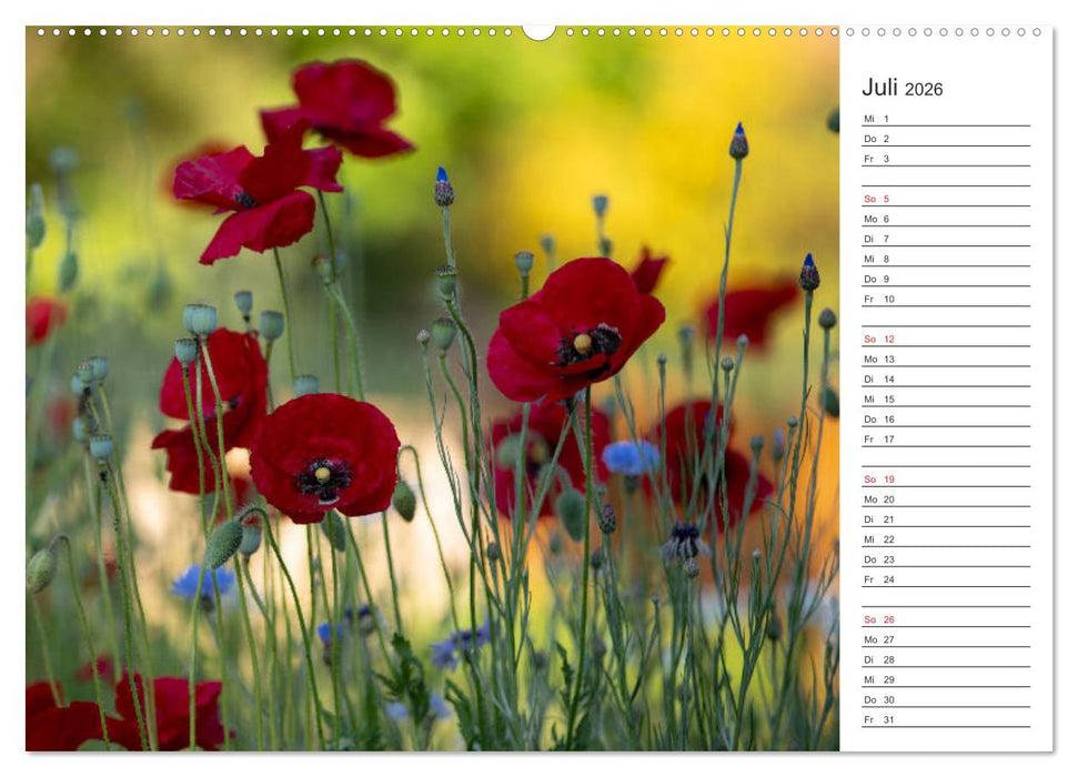 Blumenfreude Terminkalender (CALVENDO Premium Wandkalender 2026)