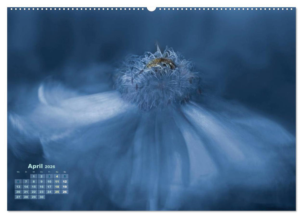 Zauberhafte Blüten (CALVENDO Wandkalender 2026)