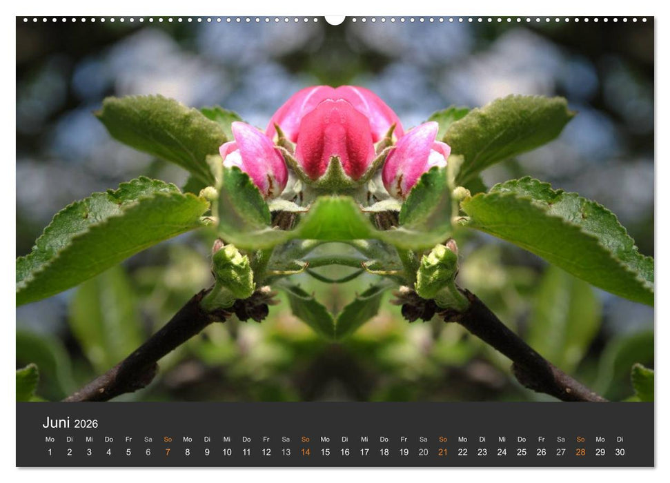 Spiegelwelten - Im Reich der Naturwesen (CALVENDO Wandkalender 2026)