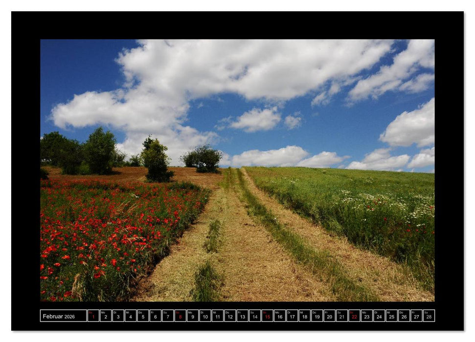 Roter Mohn, bunte Wiesen (CALVENDO Wandkalender 2026)