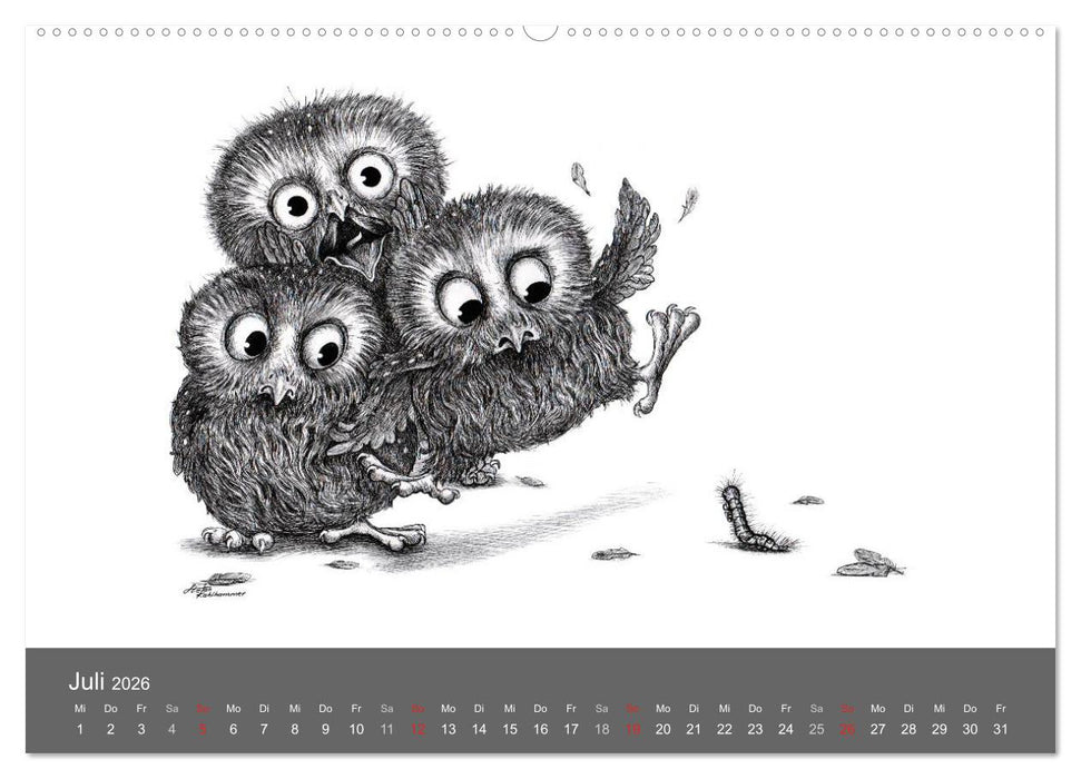 owls & friends 2026 (CALVENDO Premium Wandkalender 2026)