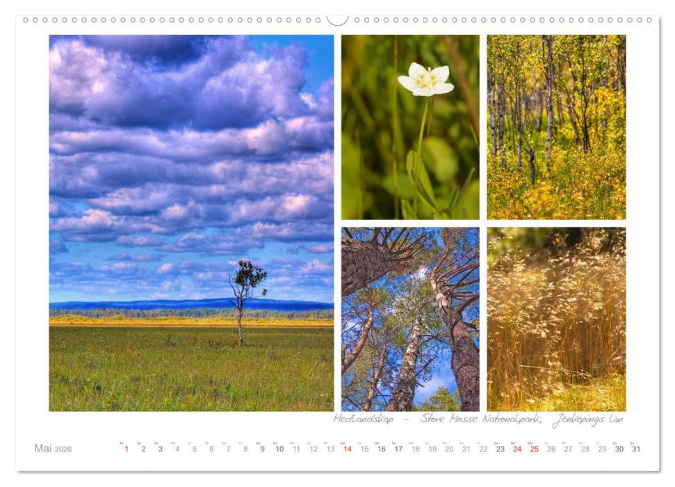 Sehnsucht Schweden - Sverige (CALVENDO Premium Wandkalender 2026)