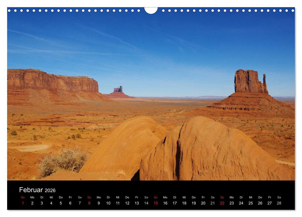 Wild beauty of Arizona (CALVENDO Wandkalender 2026)