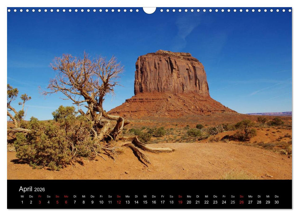 Wild beauty of Arizona (CALVENDO Wandkalender 2026)