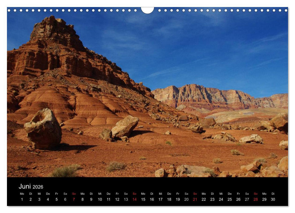 Wild beauty of Arizona (CALVENDO Wandkalender 2026)