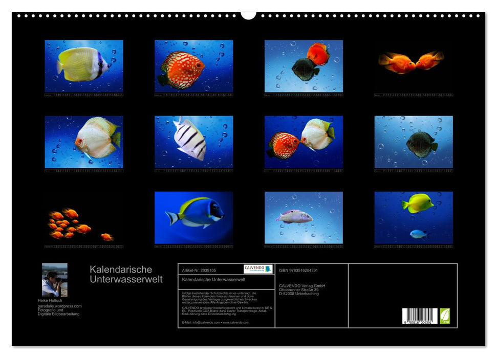 Kalendarische Unterwasserwelt (CALVENDO Wandkalender 2026)