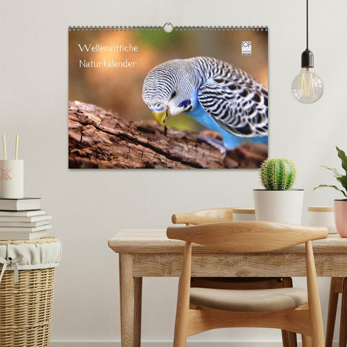 Wellensittiche - Naturkalender (CALVENDO Wandkalender 2026)