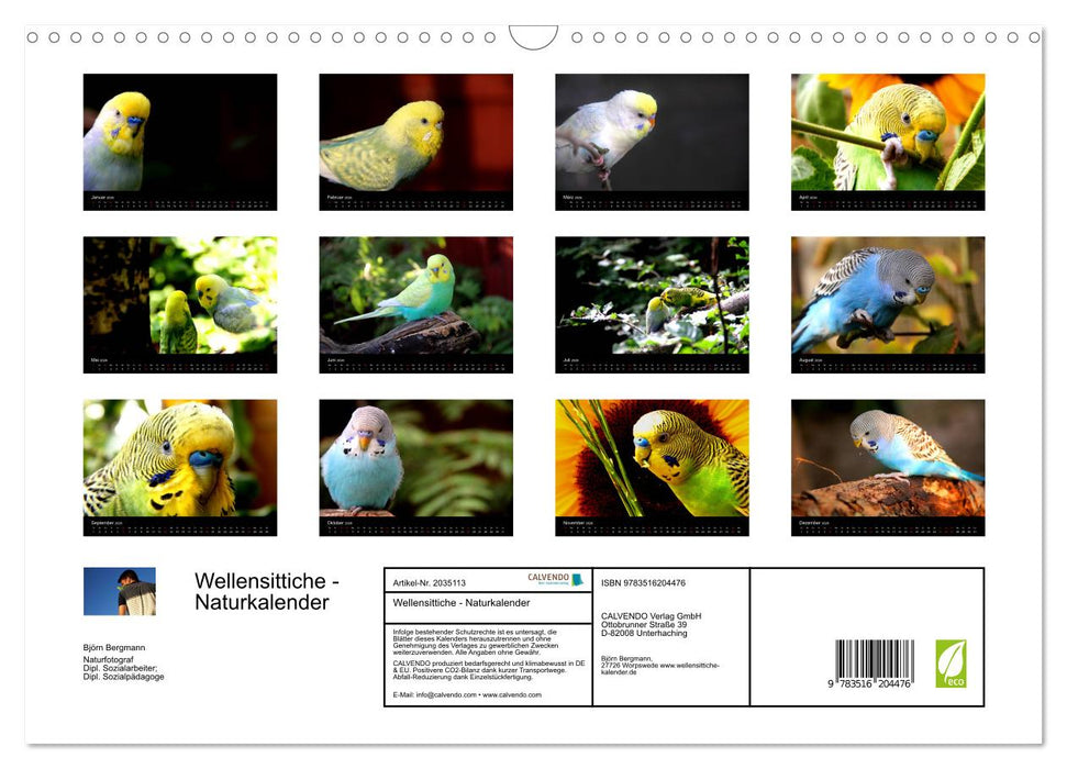 Wellensittiche - Naturkalender (CALVENDO Wandkalender 2026)
