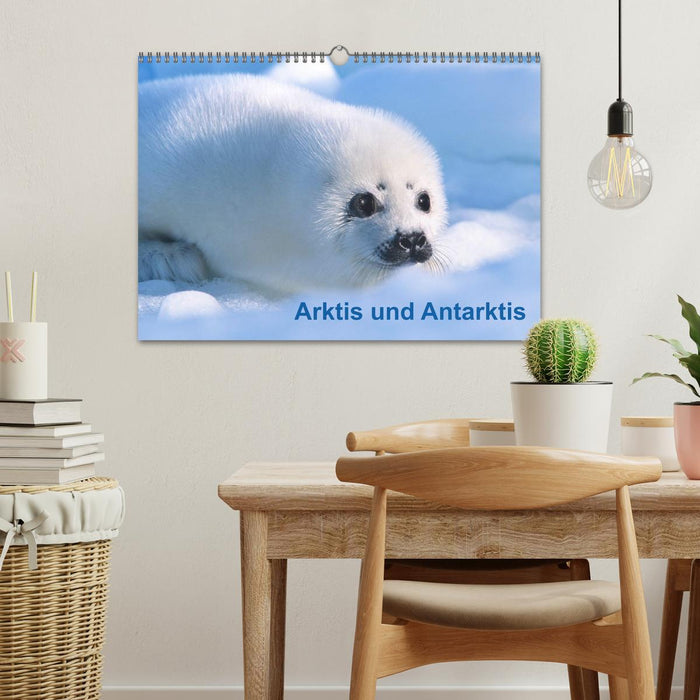 Arktis und Antarktis (CALVENDO Wandkalender 2026)