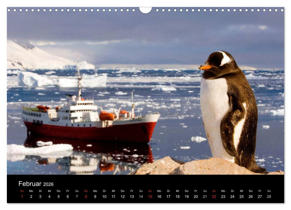 Arktis und Antarktis (CALVENDO Wandkalender 2026)