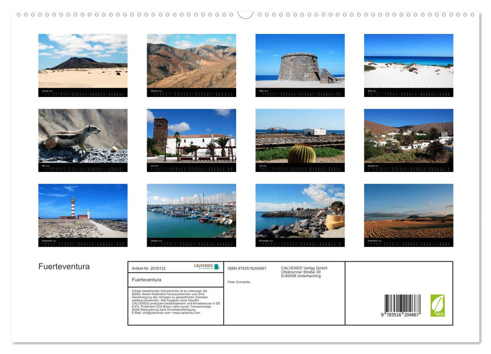 Fuerteventura (CALVENDO Premium Wandkalender 2026)