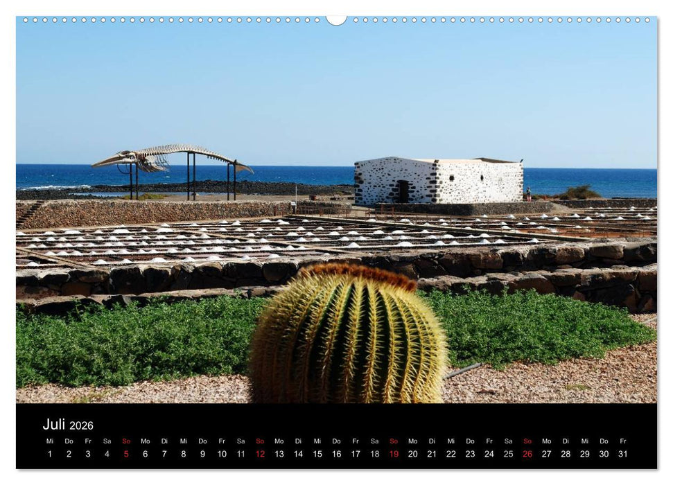 Fuerteventura (CALVENDO Premium Wandkalender 2026)