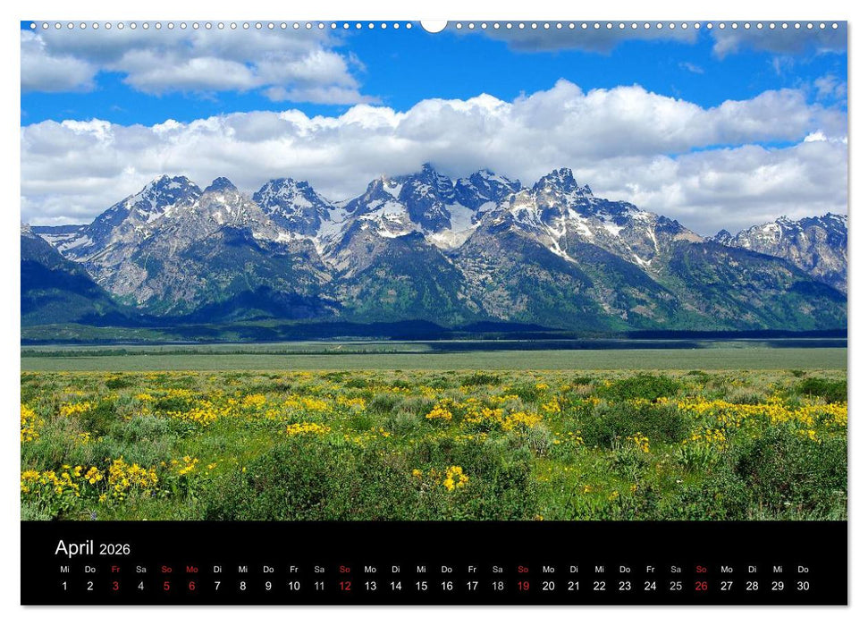 Wyoming! (CALVENDO Wandkalender 2026)