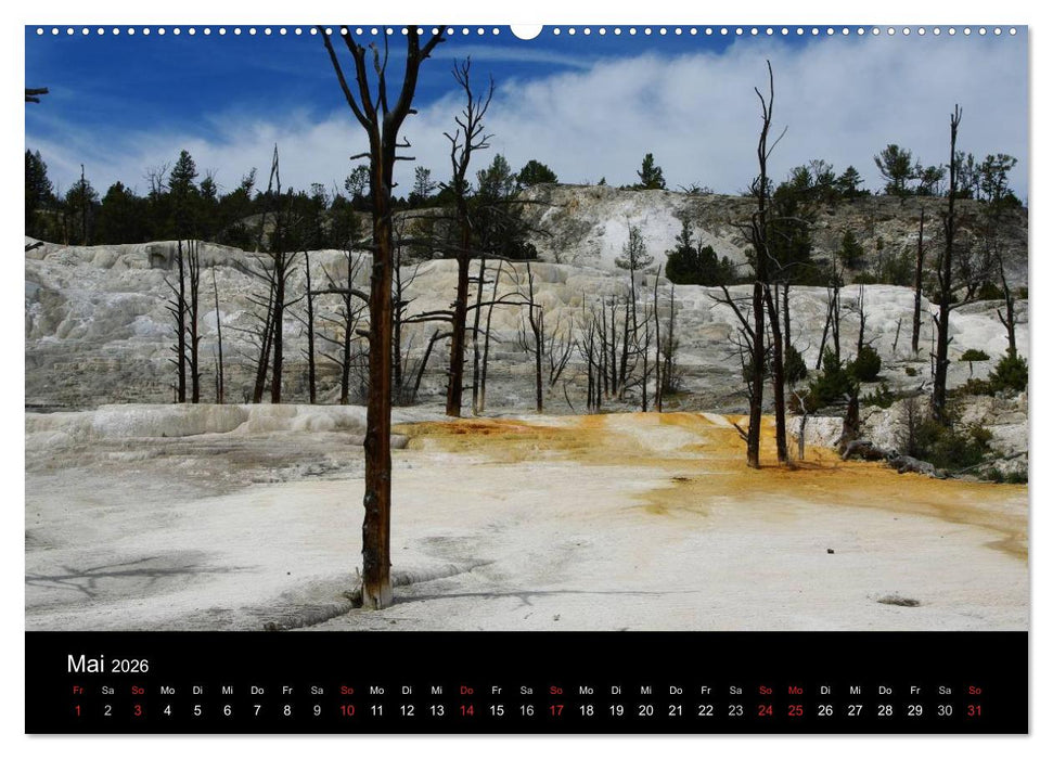 Wyoming! (CALVENDO Wandkalender 2026)