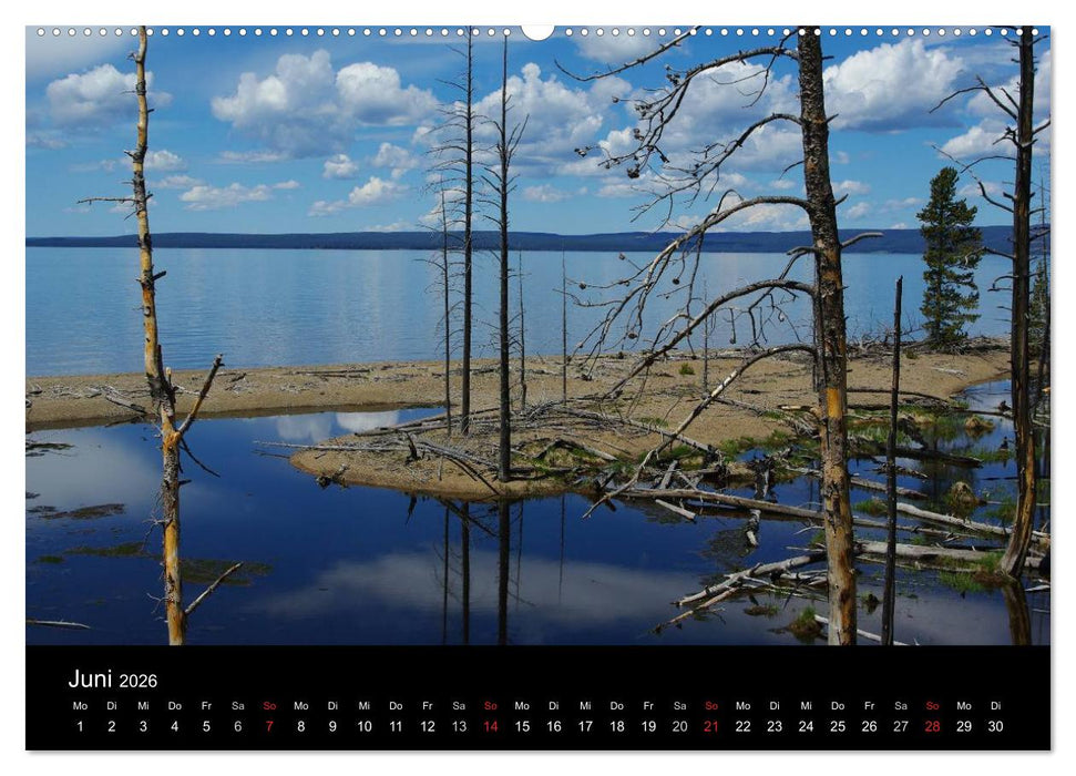 Wyoming! (CALVENDO Wandkalender 2026)