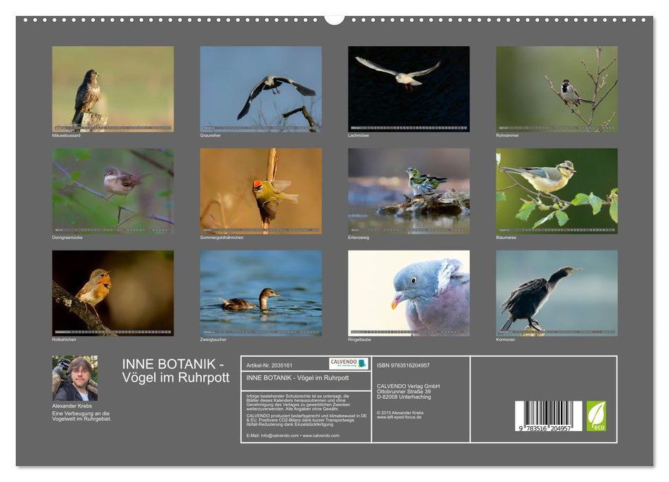 INNE BOTANIK - Vögel im Ruhrpott (CALVENDO Premium Wandkalender 2026)