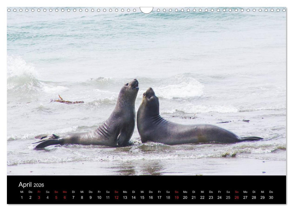 Monterey California (CALVENDO Wandkalender 2026)
