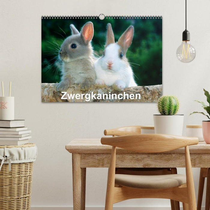 Zwergkaninchen (CALVENDO Wandkalender 2026)