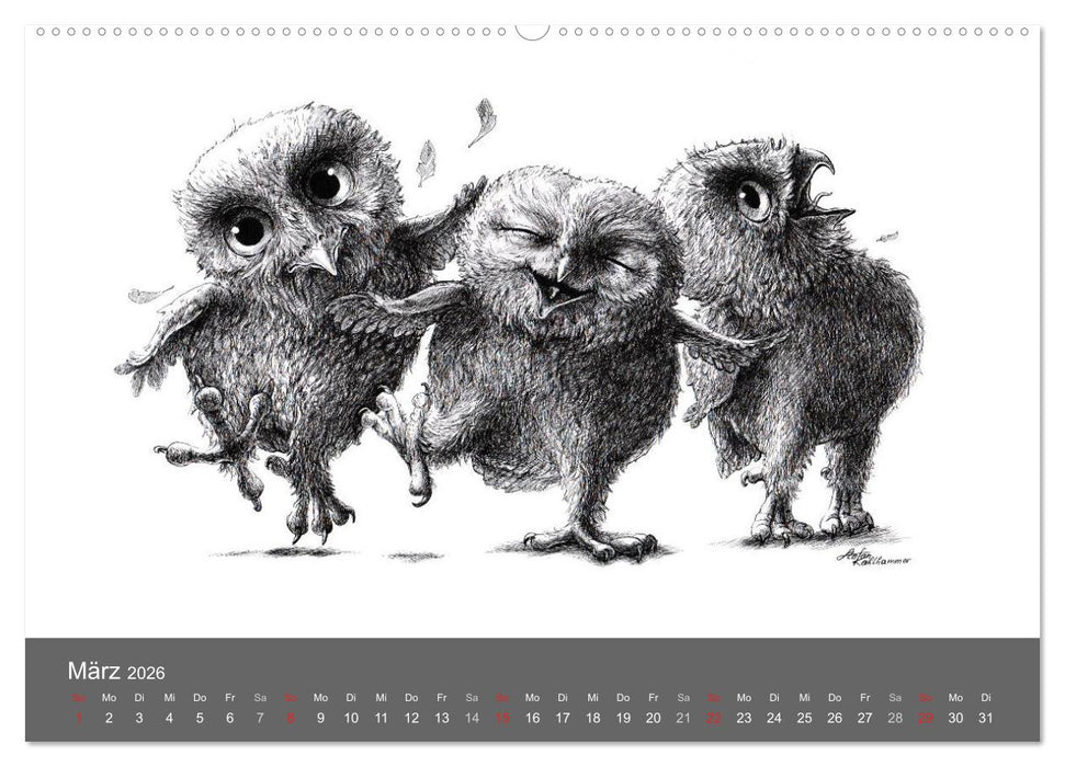owls & friends 2026 (CALVENDO Wandkalender 2026)