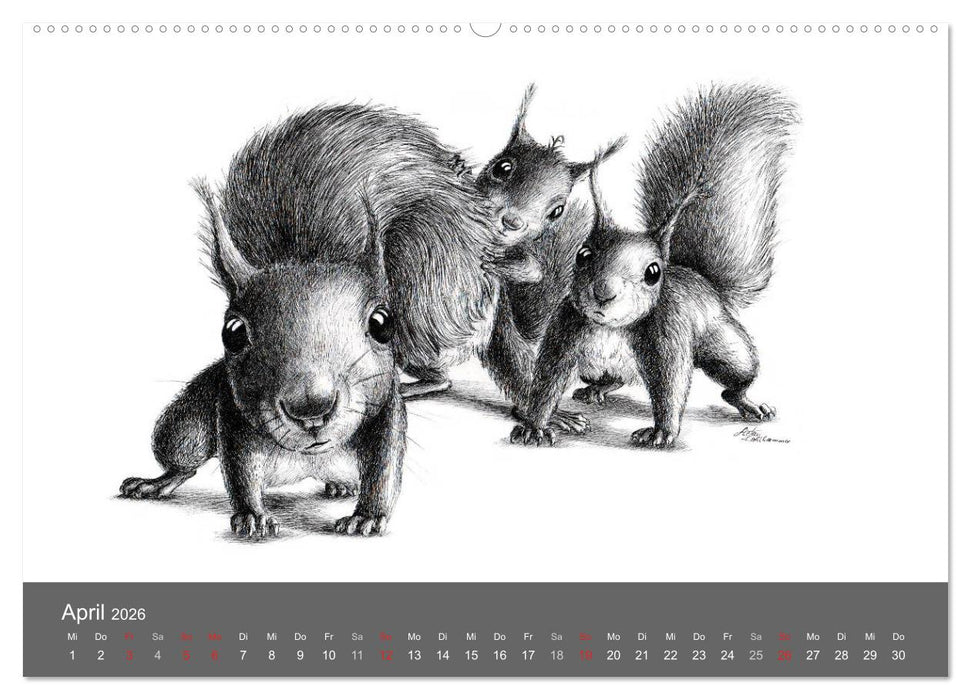 owls & friends 2026 (CALVENDO Wandkalender 2026)