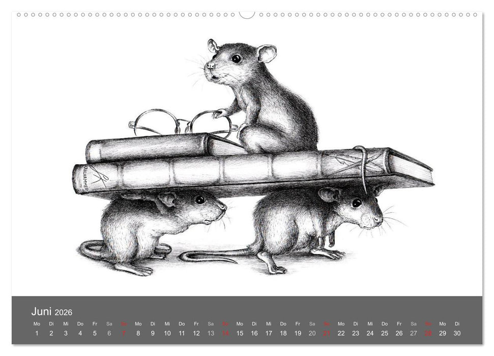 owls & friends 2026 (CALVENDO Wandkalender 2026)