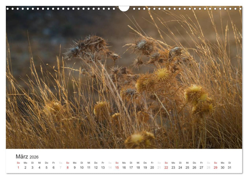 Kreta. Im Süden (CALVENDO Wandkalender 2026)