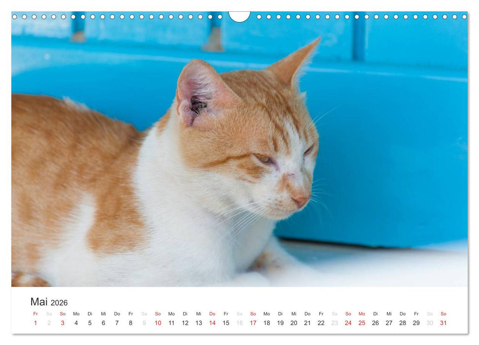 Kreta. Im Süden (CALVENDO Wandkalender 2026)