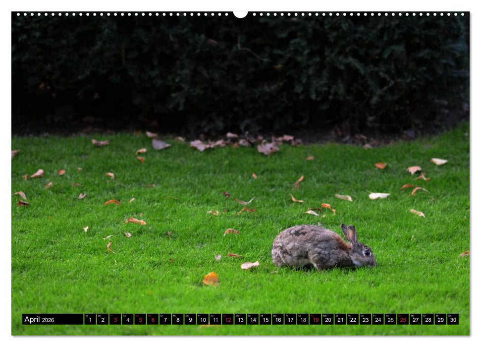 Mannheimer Ansichten 2026 (CALVENDO Premium Wandkalender 2026)