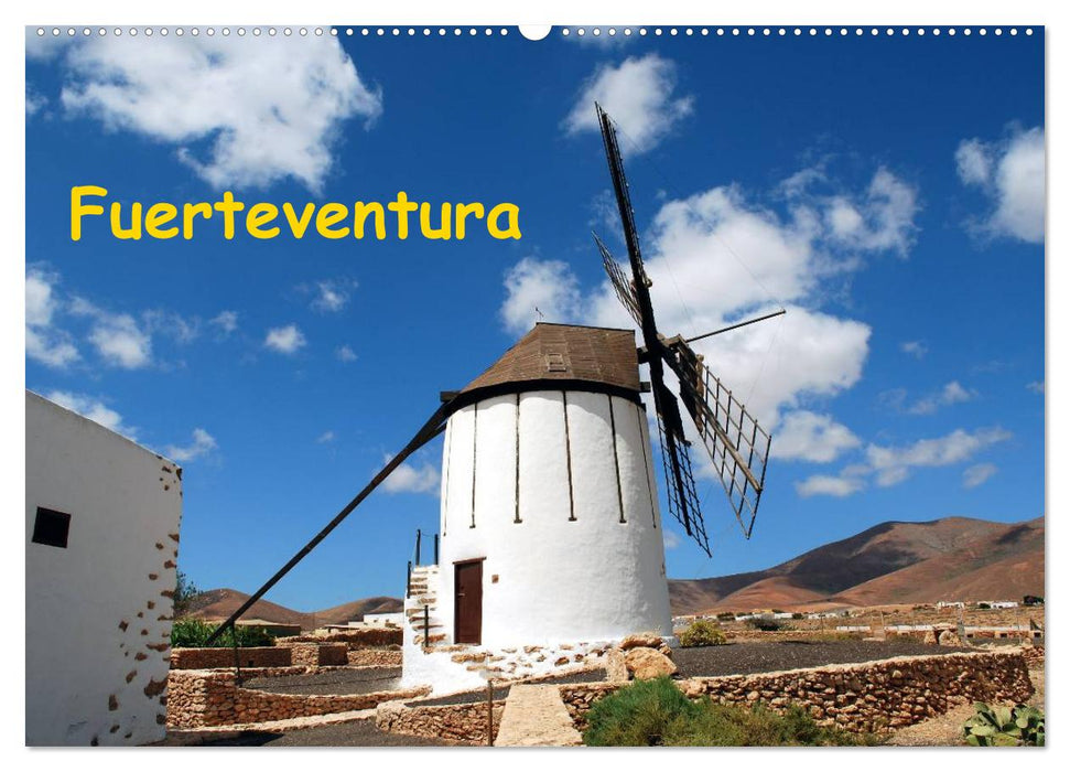 Fuerteventura (CALVENDO Wandkalender 2026)