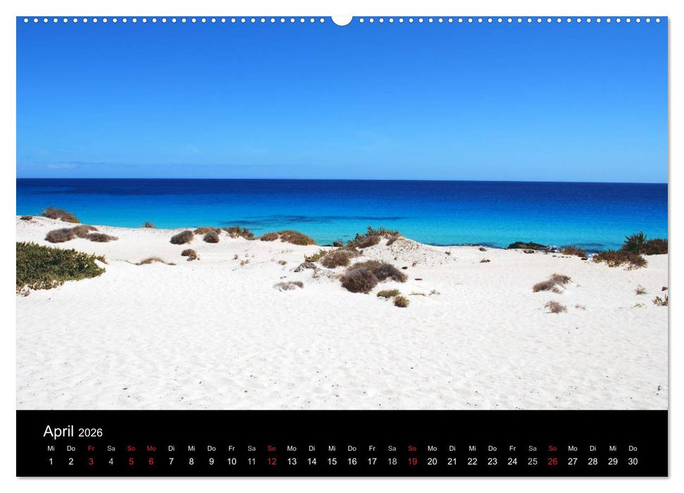 Fuerteventura (CALVENDO Wandkalender 2026)