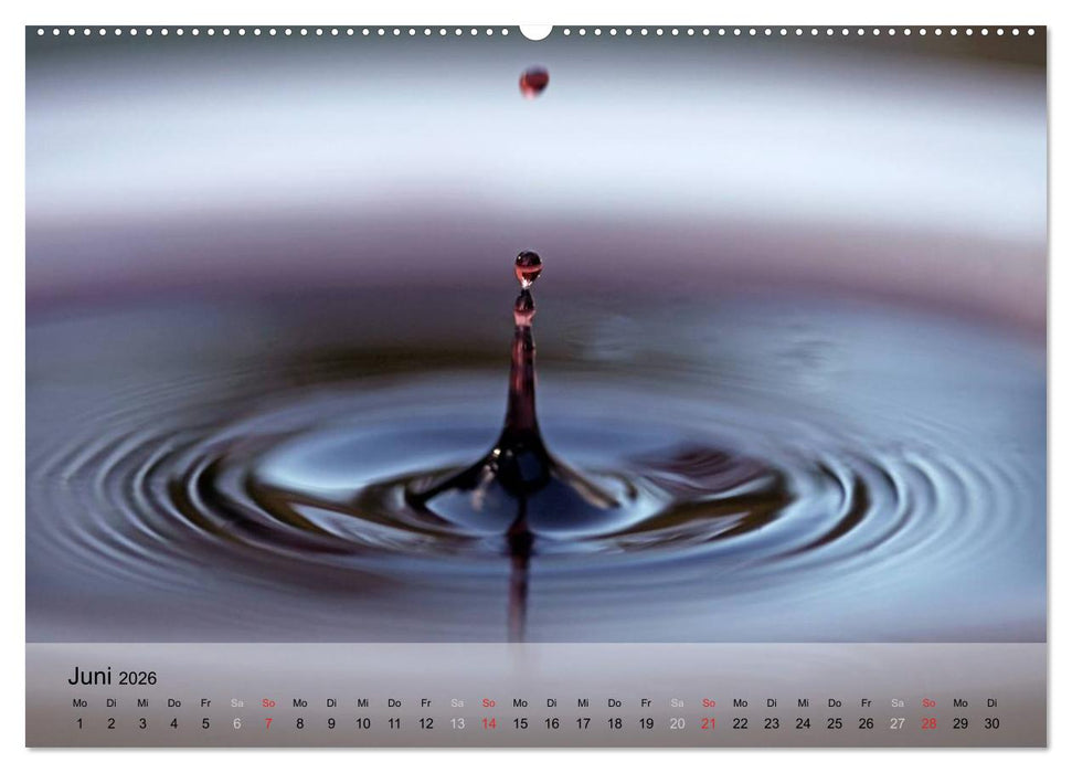 Wein schmeckt fein (CALVENDO Premium Wandkalender 2026)