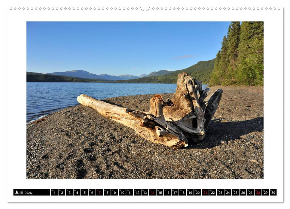 Yukon Territory - Der Nordwesten Kanadas (CALVENDO Wandkalender 2026)