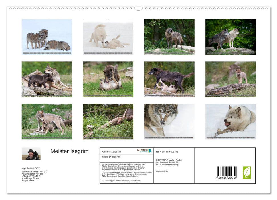 Meister Isegrim (CALVENDO Premium Wandkalender 2026)