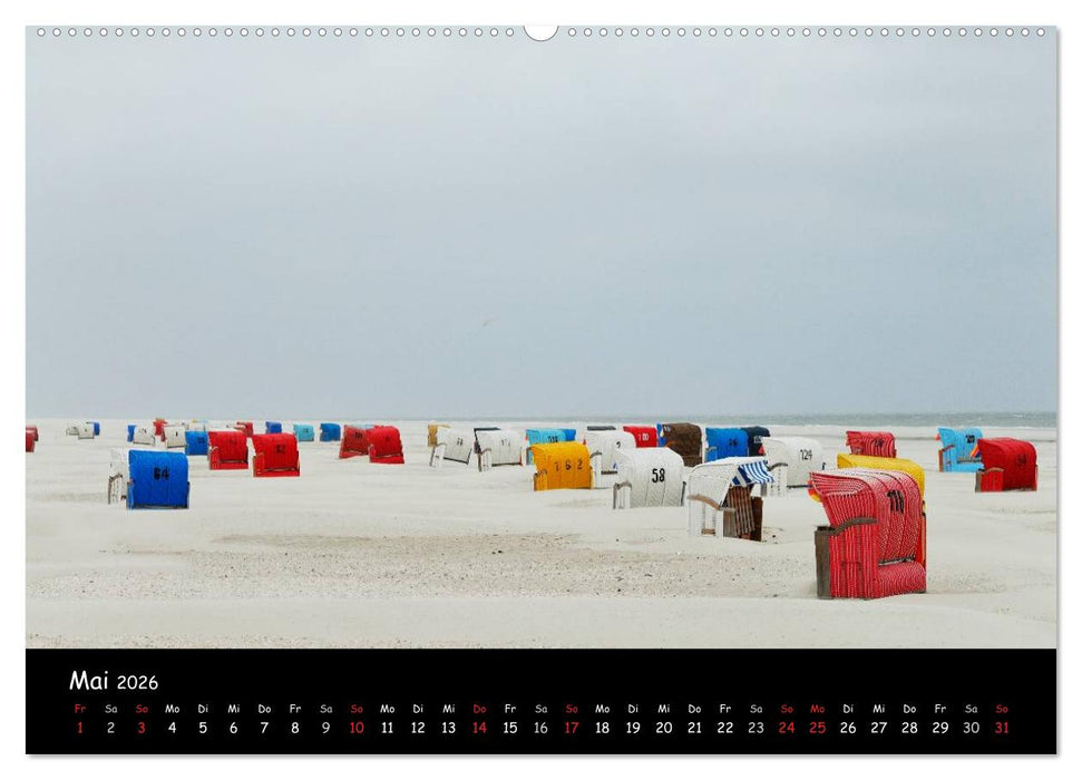 Amrum (CALVENDO Premium Wandkalender 2026)