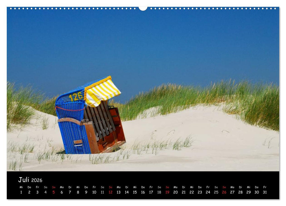 Amrum (CALVENDO Premium Wandkalender 2026)